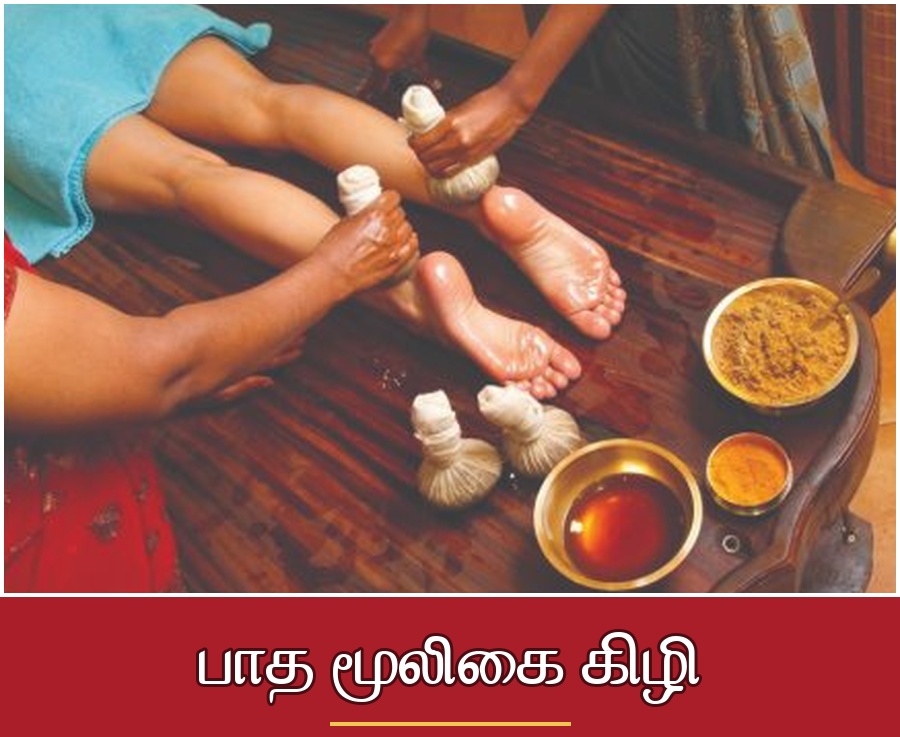 Traditional Ayurvedic Treatments