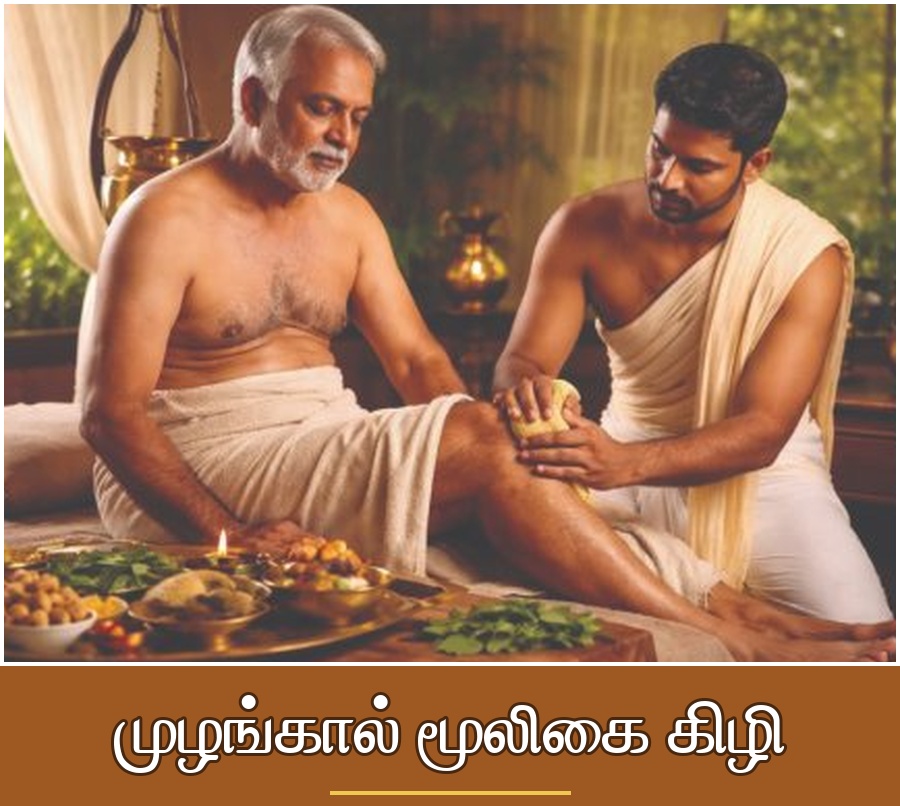 Traditional Ayurvedic Treatments