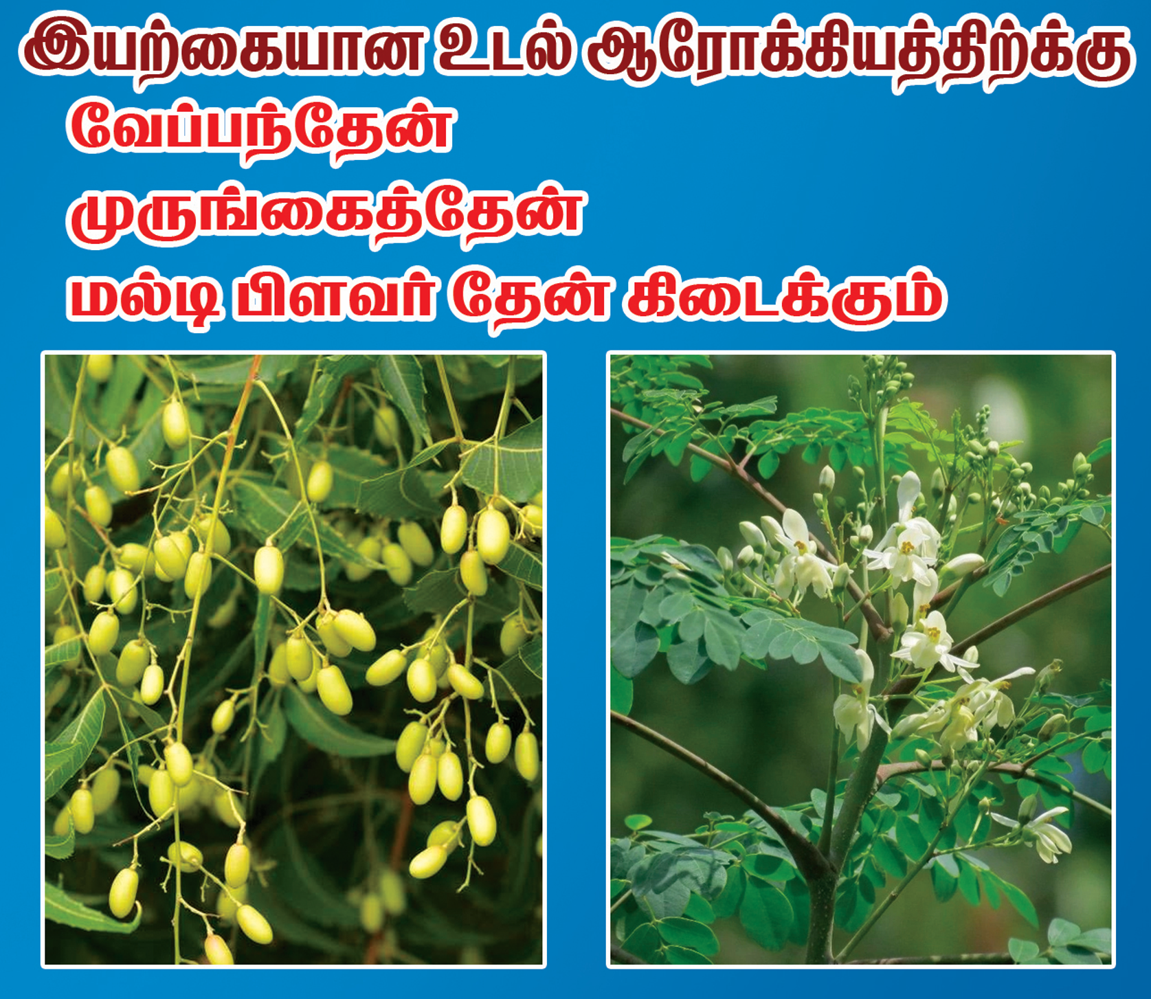 Siddha Face & Hair Care
