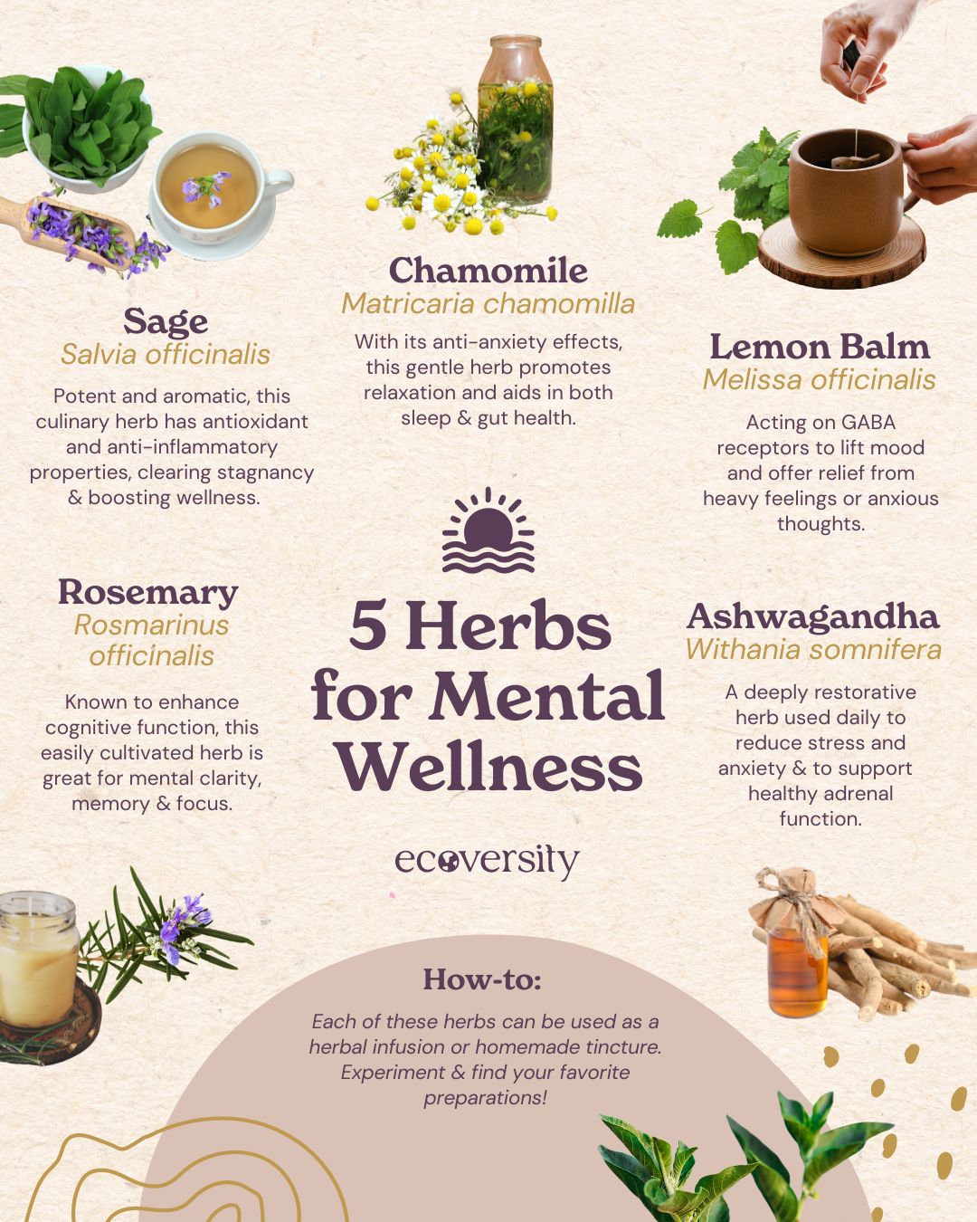 Natural Wellness Guidance